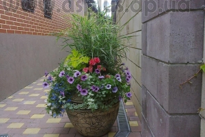 landscape (28)